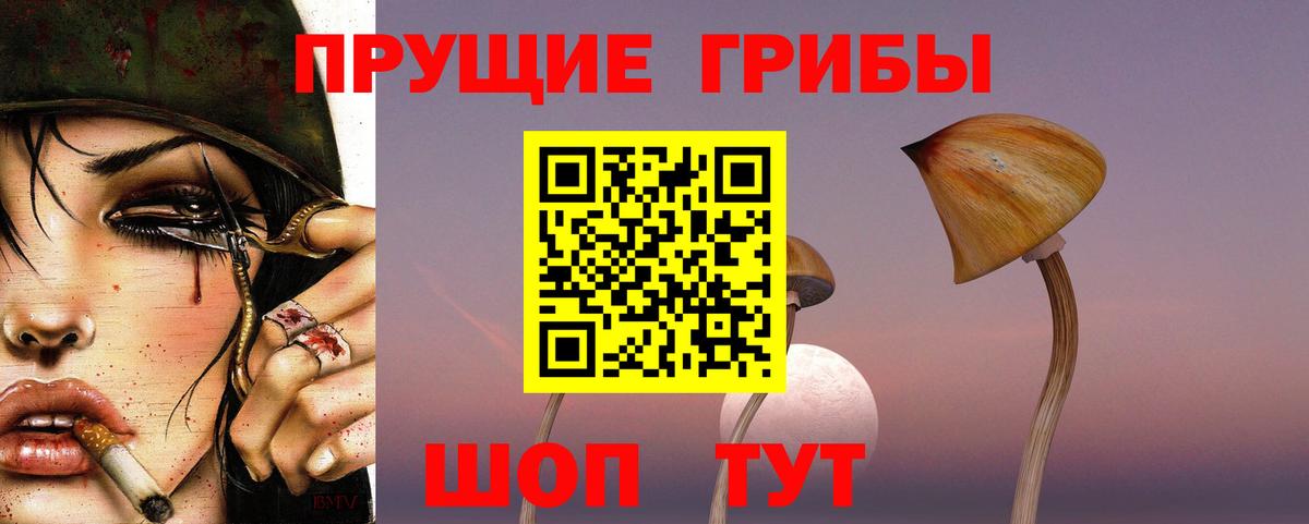 Россия  Псилоцибиновые грибы Magic Shrooms  Вход с VPN 